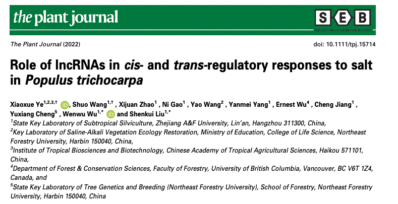 Role of lncRNAs in cis- and trans-regulatory responses to salt in Populus trichocarpa
