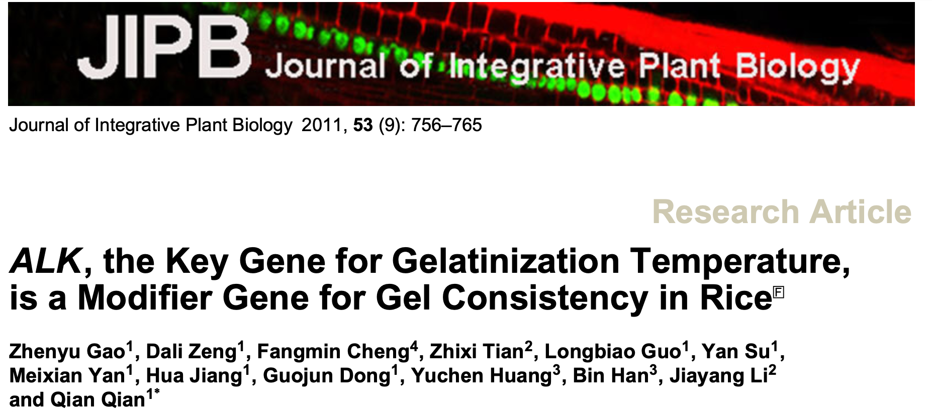 ALK, the Key Gene for Gelatinization Temperature, is a Modifier Gene for Gel Consistency in Rice