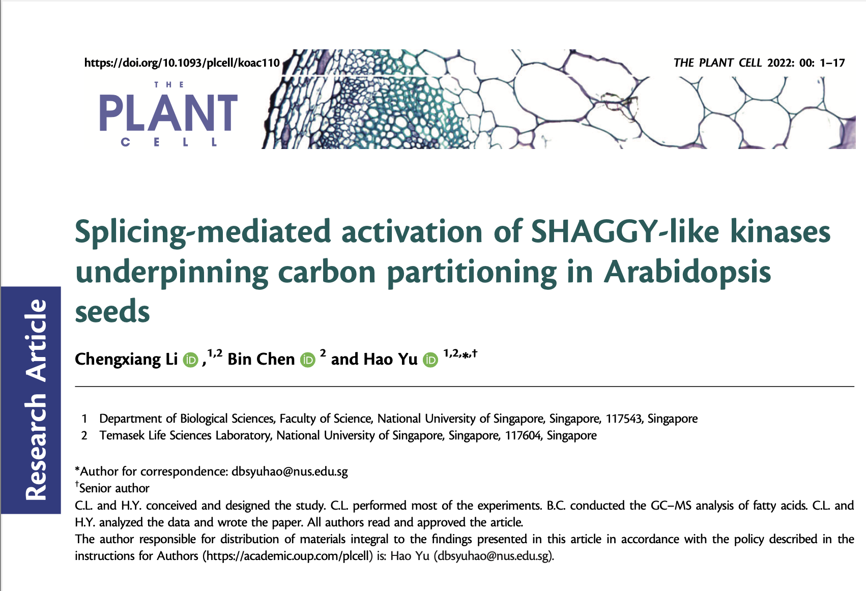 Splicing-mediated activation of SHAGGY-like kinases underpinning carbon partitioning in Arabidopsis seeds