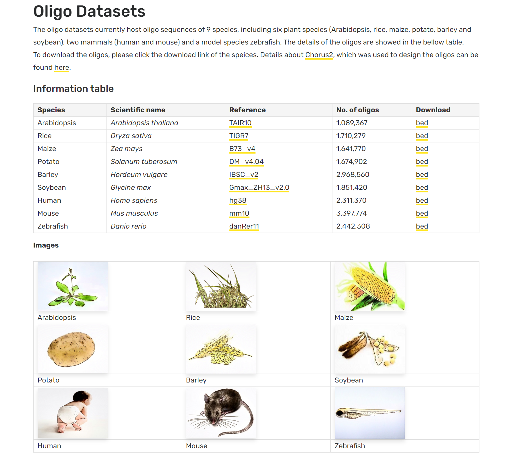 Chorus2 oligo datasets